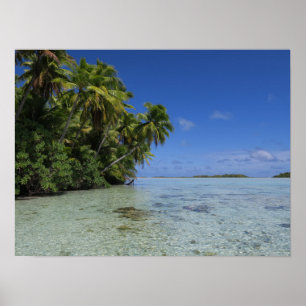 Rangiroa French Polynesia Tropical Island Poster