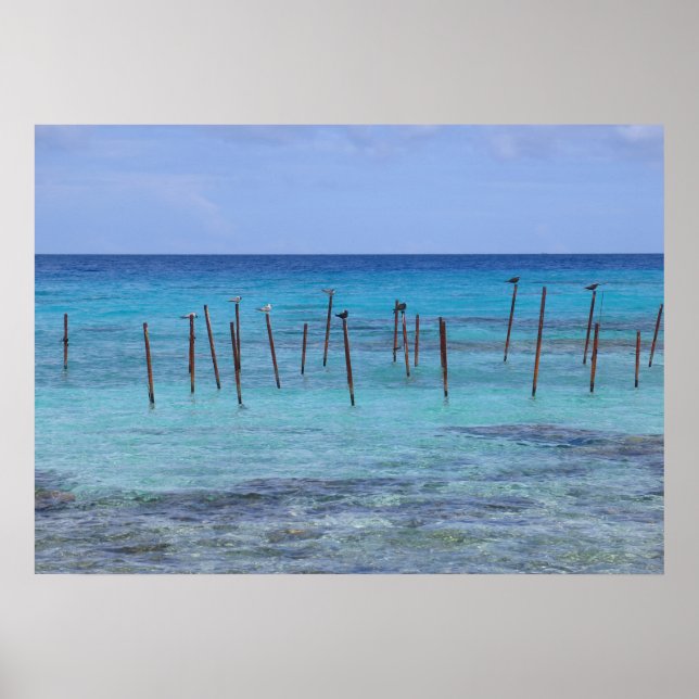 Rangiroa lagoon poster