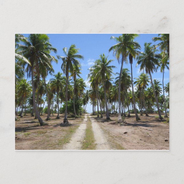 Rangiroa road to paradise postcard (Front)