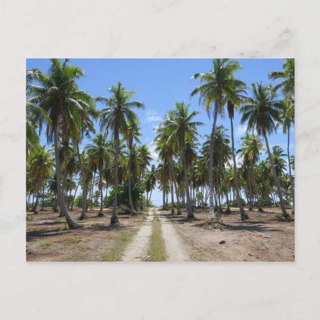 Rangiroa way to paradise postcard (Front)