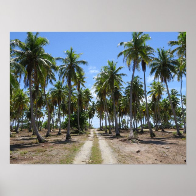 Rangiroa way to paradise poster (Front)
