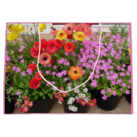 Rannunculus Spring Bulbs Birthday Cake Favor Box