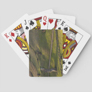 Rano Raraku, Rapa Nui, Easter Island, Chile Playing Cards