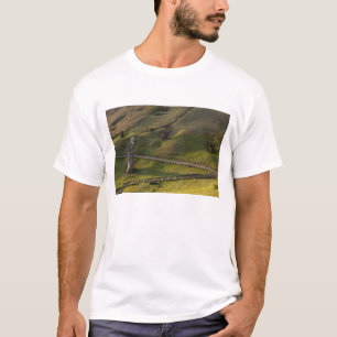 Rano Raraku, Rapa Nui, Easter Island, Chile T-Shirt