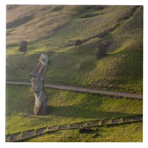 Rano Raraku, Rapa Nui, Easter Island, Chile Tile