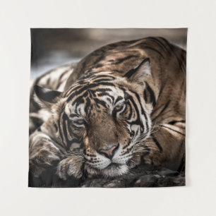 Ranthambore tiger: close-up fine art. tapestry