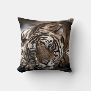 Ranthambore tiger: close-up fine art. throw pillow