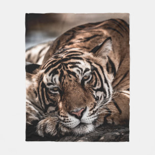 ranthambore wild male tiger Fine art image portrai Fleece Blanket