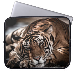 ranthambore wild male tiger Fine art image portrai Laptop Sleeve