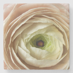Ranunculus Flower Stone Coaster