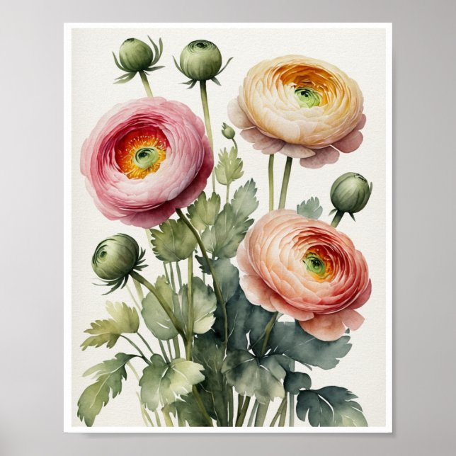 Ranunculus Flowers Handmade Water Colour Poster (Front)