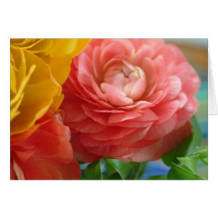 ranunculus jaune et rose