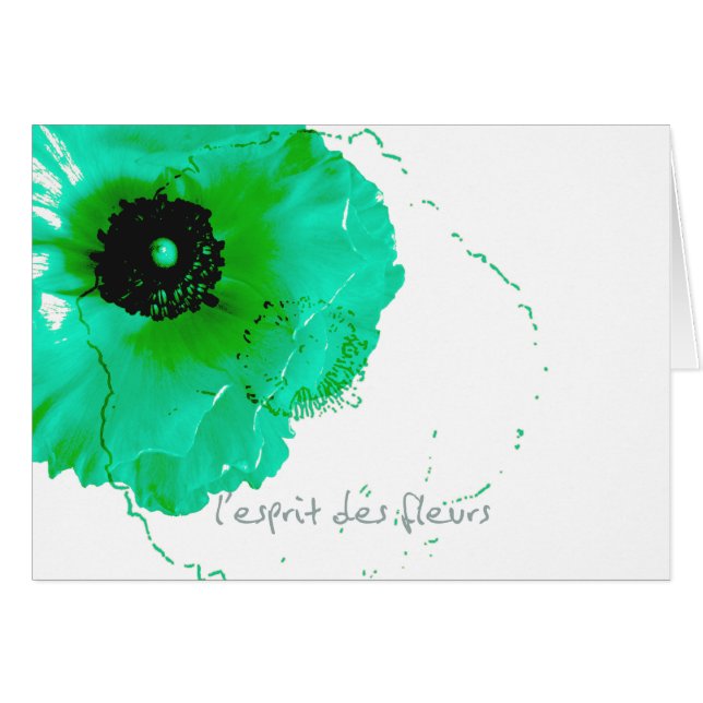 ranunculus turquoise et blanc (Devant Horizontal)