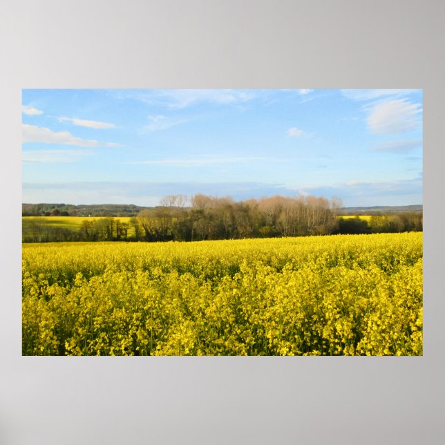 Rapeseed Fields Encircle the Forest - Personalized Poster (Front)