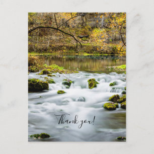 Rapides d'Alley Springs Carte postale de remerciem