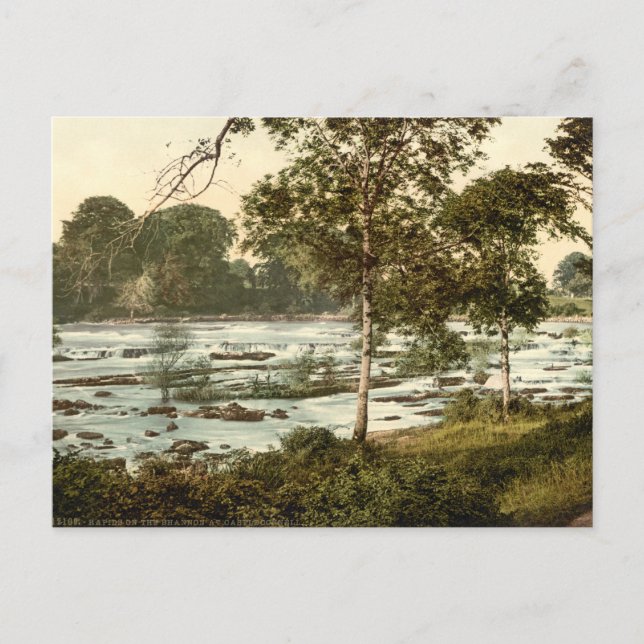 Rapids on the Shannon, County Limerick Postcard (Front)