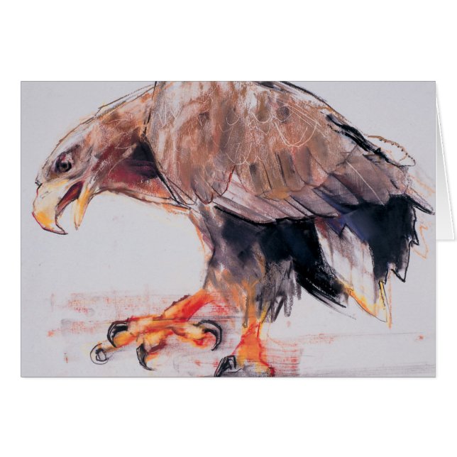 Raptor 2001 (Front Horizontal)