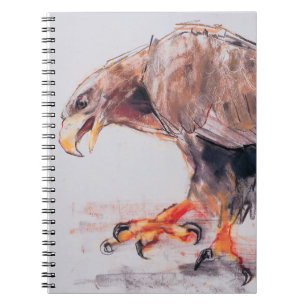 Raptor 2001 notebook