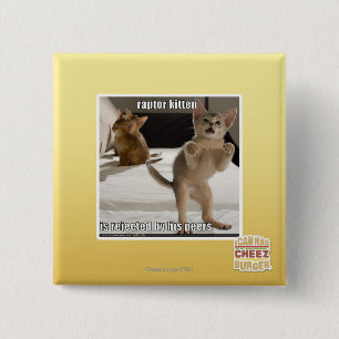 Raptor Kitten 2 Inch Square Button
