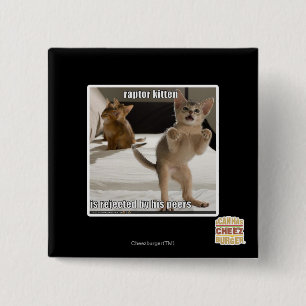 Raptor Kitten 2 Inch Square Button