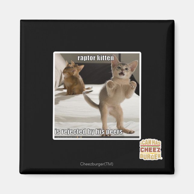 Raptor Kitten Magnet (Front)
