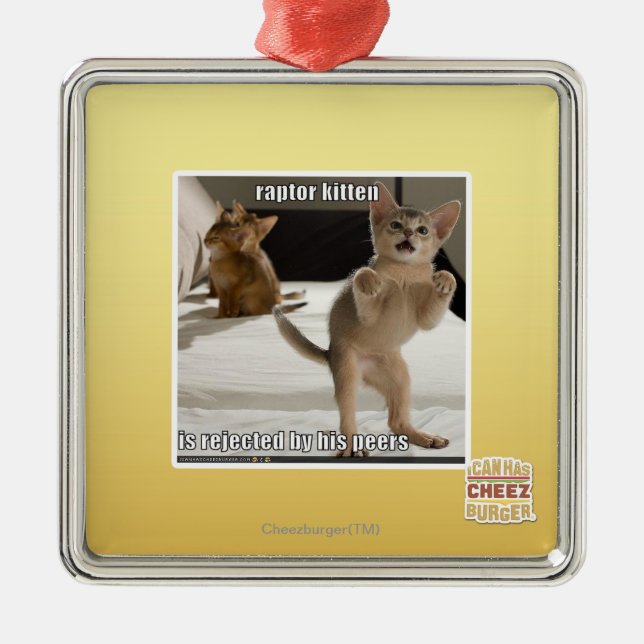Raptor Kitten Metal Ornament (Front)