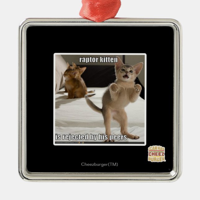Raptor Kitten Metal Ornament (Front)