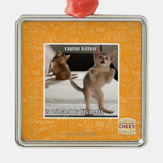 Raptor Kitten Metal Ornament (Front)