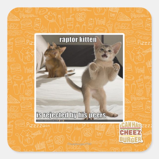 Raptor Kitten Square Sticker (Front)