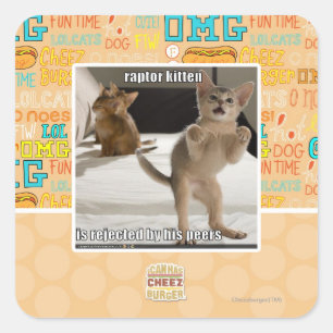 Raptor Kitten Square Sticker