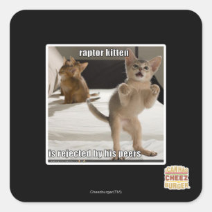 Raptor Kitten Square Sticker