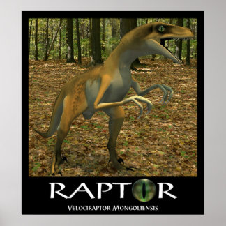 Raptor Poster