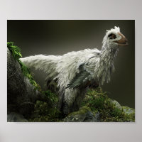 Raptor with feathers