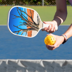 Raquette De Pickleball Arbre mort à Deadvlei, Namibie