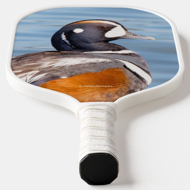 Raquette De Pickleball Beau canard arlequin sur le rocher (Poser)