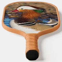 Belle Chatty Mandarin Canard à l'étang