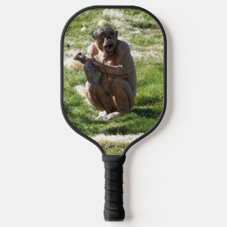 RAQUETTE DE PICKLEBALL CHIMPANZEE