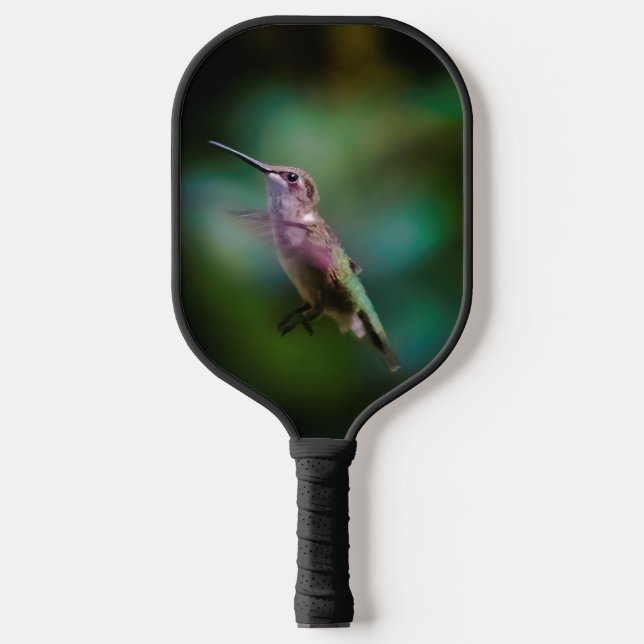 Raquette De Pickleball Colibri à gorge rubis - Photo originale (Recto)