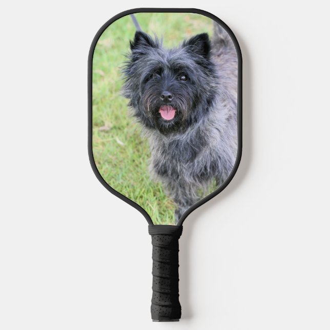 Raquette De Pickleball Deux Cairns (Recto)