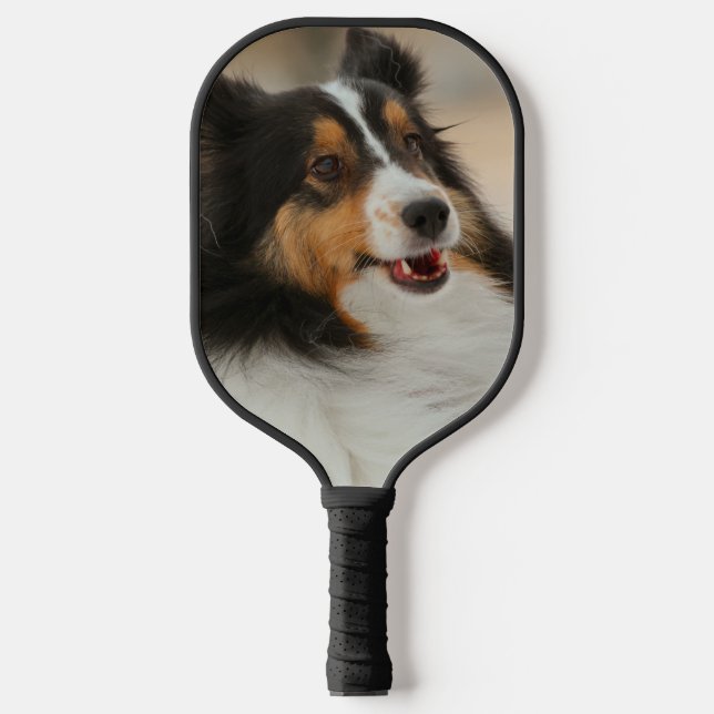 Raquette De Pickleball Étagère (Recto)