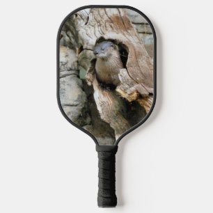 Raquette De Pickleball Harry Otter
