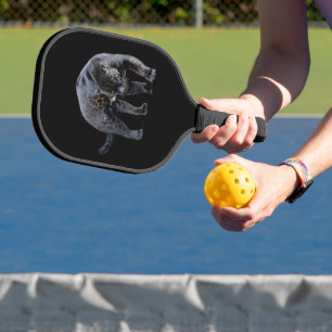Raquette De Pickleball Jaguar Diablo noir pickleball paddle carbone