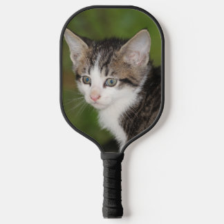 Raquette De Pickleball Kitten
