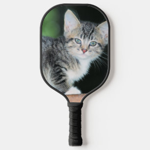 Raquette De Pickleball Kitten