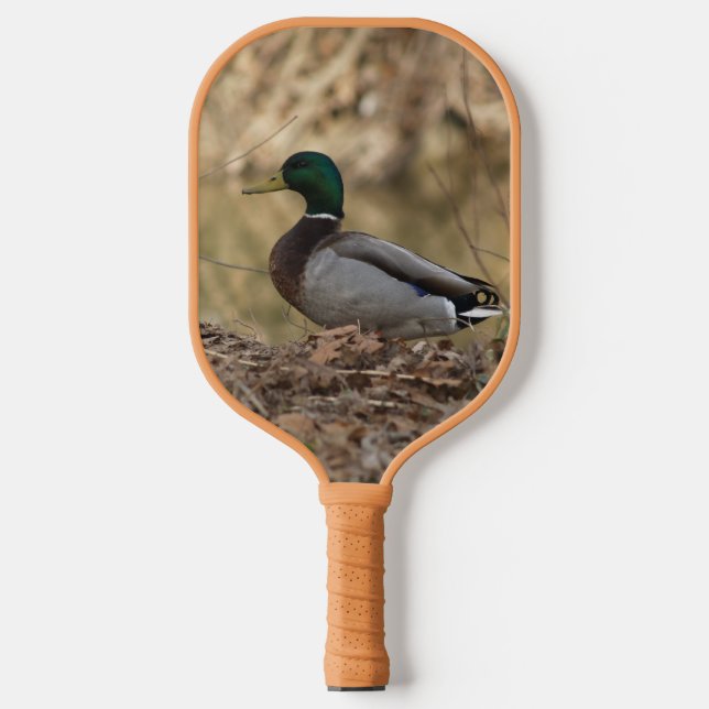Raquette De Pickleball Mallard Canard Pickleball Paddle (Recto)