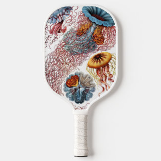 Raquette De Pickleball Méduse vintage par Ernst Haeckel, Discomedusae