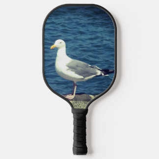 Raquette De Pickleball Mouette Sur La Baie