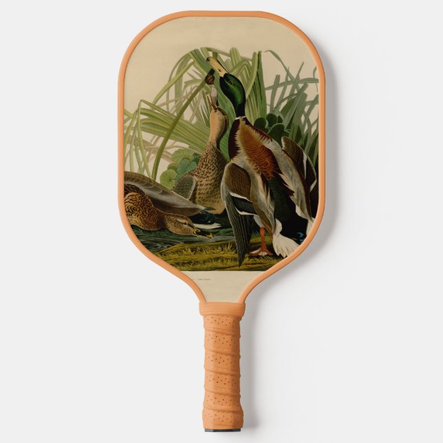 Raquette De Pickleball Peinture d'oiseaux de Mallard Duck Audubon (Recto)