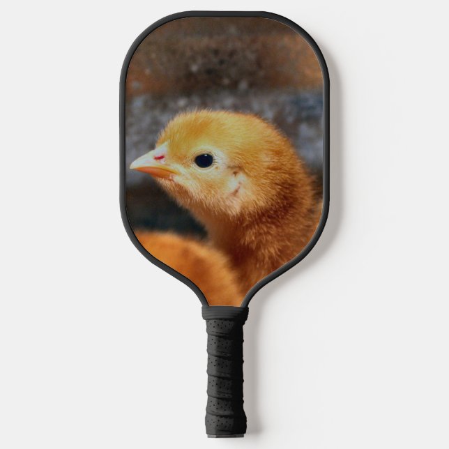 Raquette De Pickleball Pep (Recto)