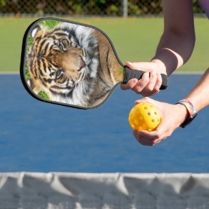 Raquette De Pickleball Photo Sumatran Tiger